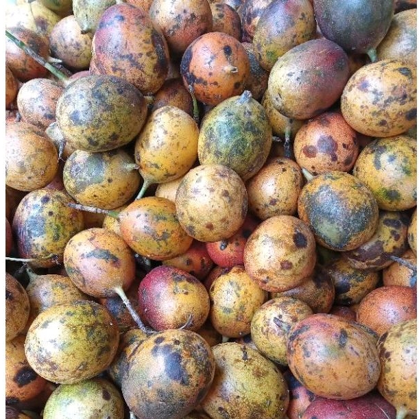 

BUAH MARKISA | KONYAL | Markisa lokal | konyal manis | konyal 1 kilo | buah segar | vegestore