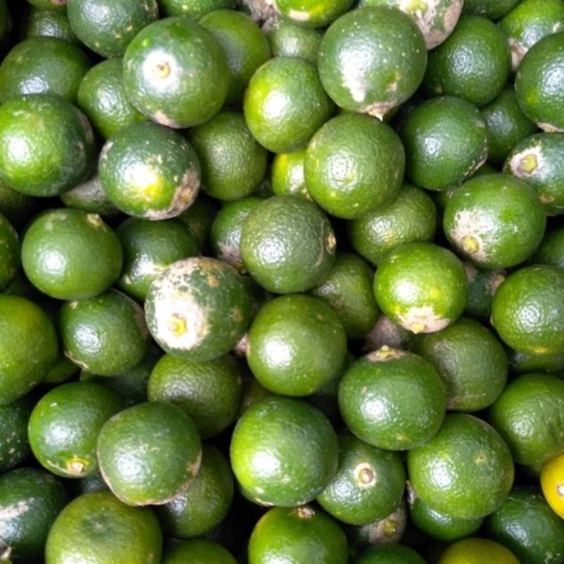 

sonkit/lemon cui/jeruk kasturi 250gr