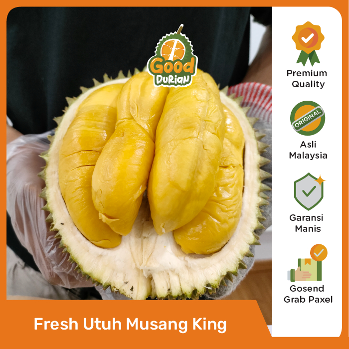 Durian Musang King Utuh Bulat dengan Kulit Fresh - Durian Fresh - Durian Utuh - Good Durian