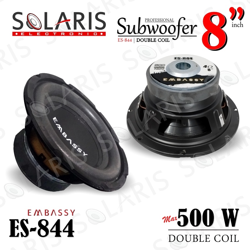 ART B67W SUBWOOFER 8 Inch EMBASSY 5 Watt ES844 DOUBLE COIL MAGNET BSESAR