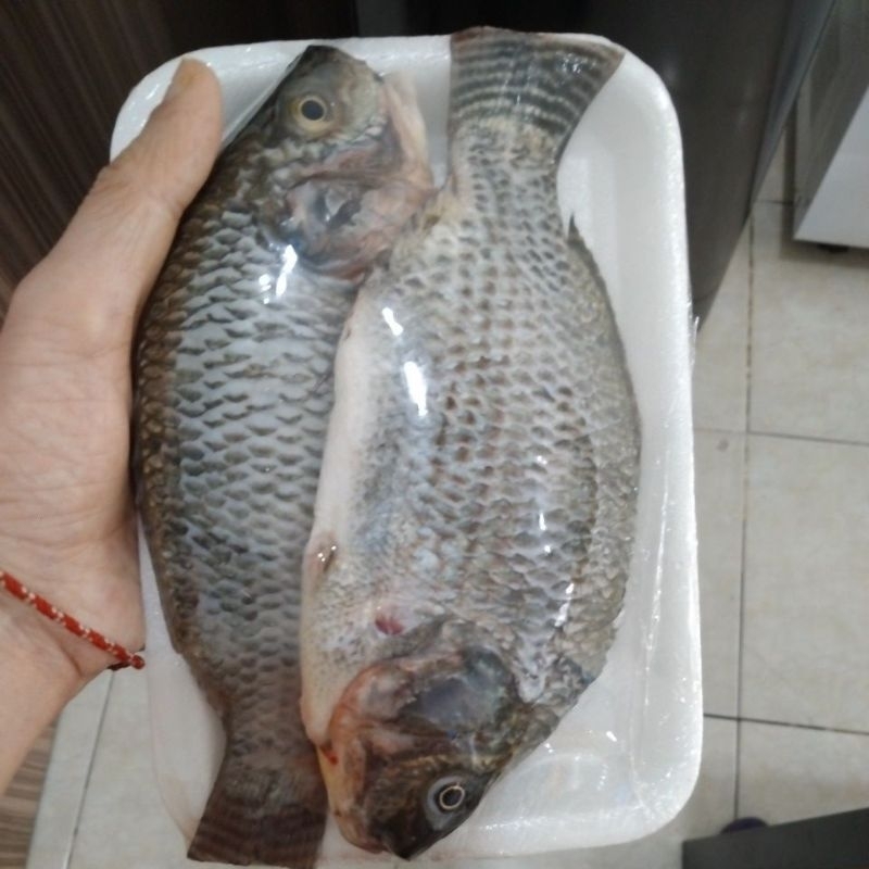 

Ikan nila/mujair (gak bau tanah)