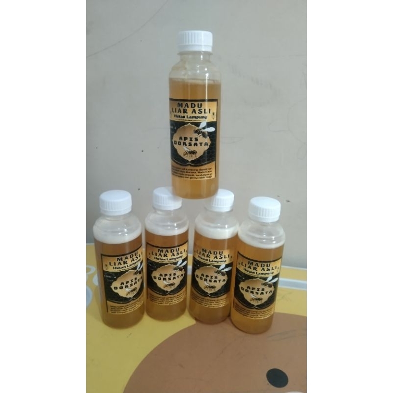 MADU LIAR ASLI HUTAN LAMPUNG/MADU TAWON GUNG 100%ASLI