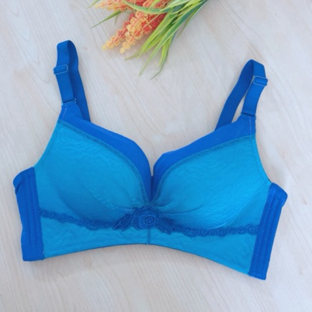 Bra Penutup lemak (K-C28) Pakaian dalam wanita premium