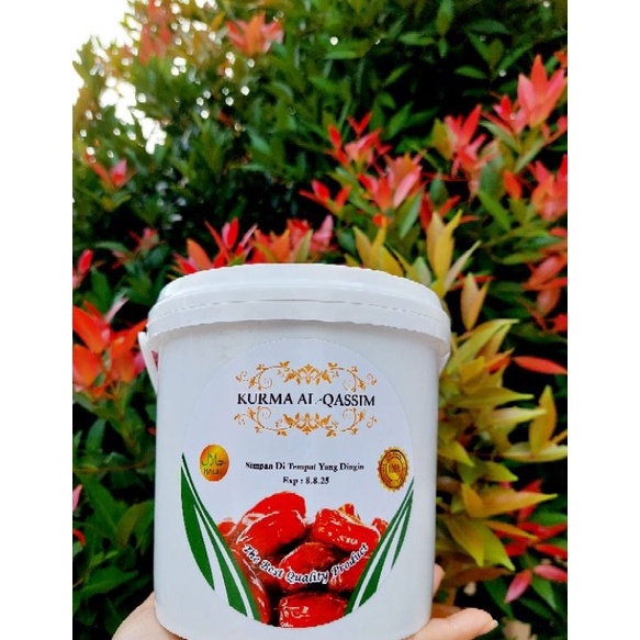 

Hanya disini kurma alqasim khalas premium 565gr