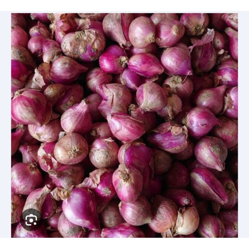 

BAWANG MERAH
