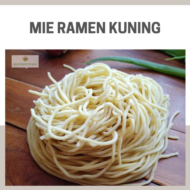 

Check Here Mie Ramen Premium Isi 12 Porsi Mie Ramen Halal