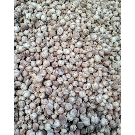 

Stock baru kapulaga kering 1kg kapolaga kapol jawa Grosir original bersih blower