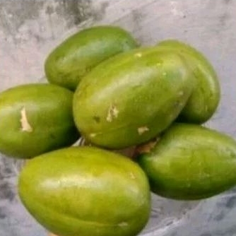 

KEDONDONG RUJAK 2 KG