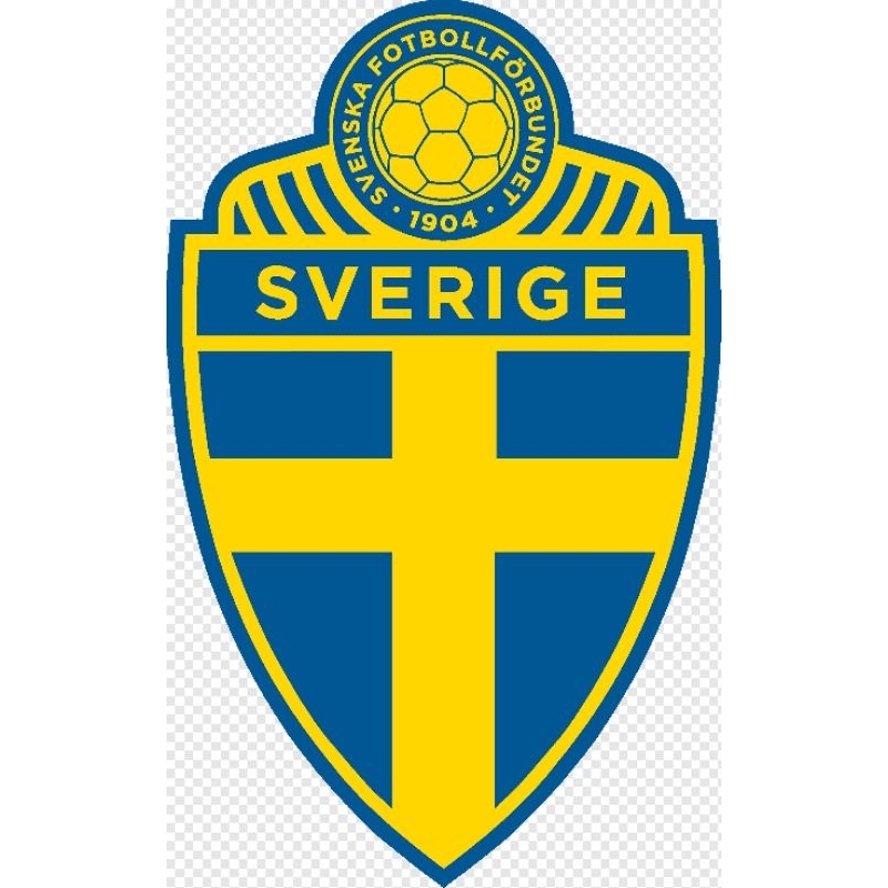 JERSEY SWEDIA (BARU)