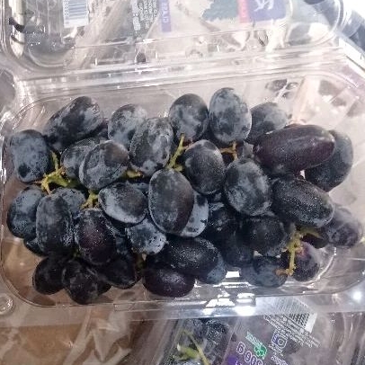 

Buah anggur hitam jari pack