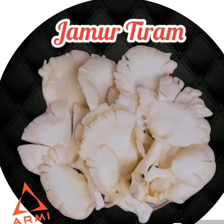 

Jamur Tiram Fress Jamur Putih Murah 500 Gram