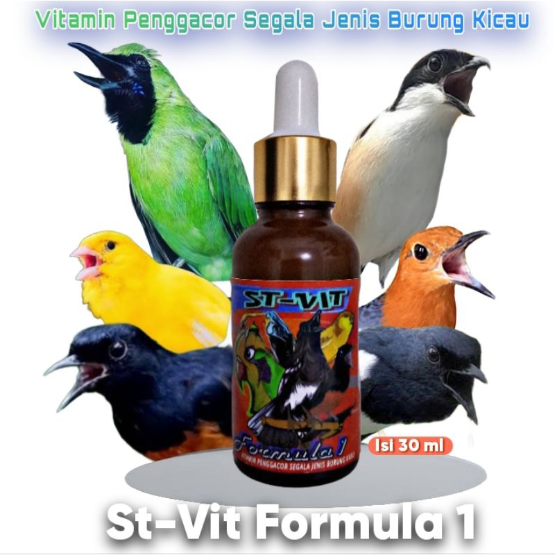 ST-VIT FORMULA 1 vitamin tetes Penggacor segala jenis burung kicau obat malas bunyi obat rajin bunyi