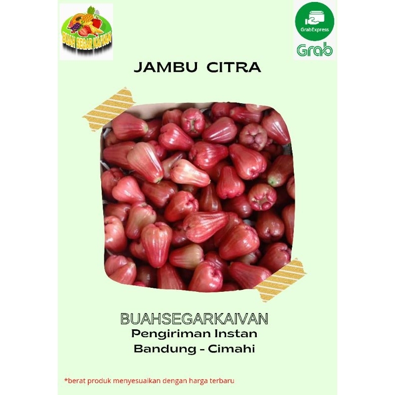 

jambu air jambu citra manis 1kg tidak menerima orderan luar pulaau