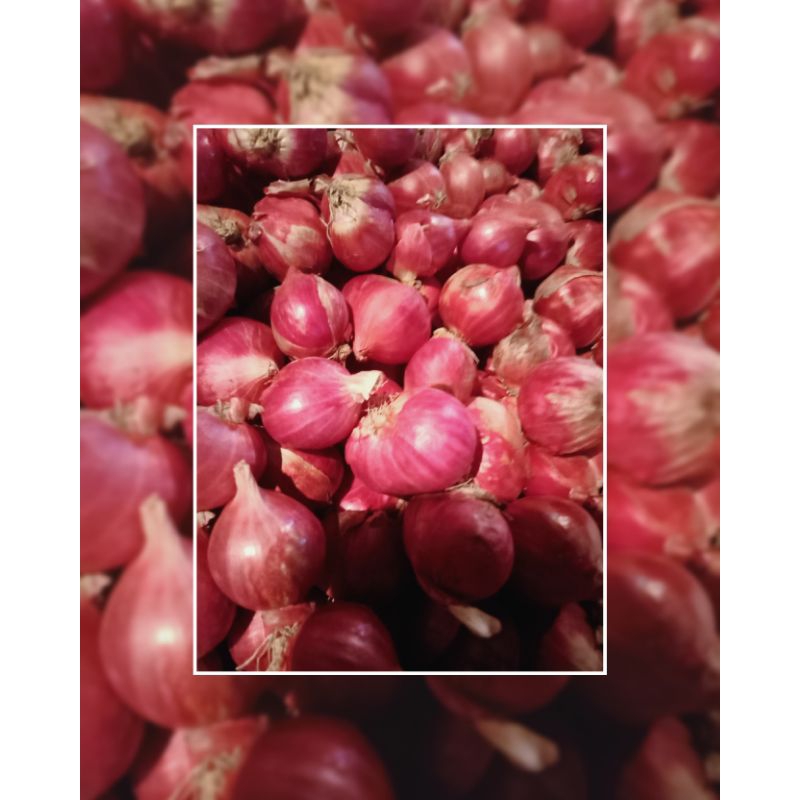 

bawang merah super 1kg