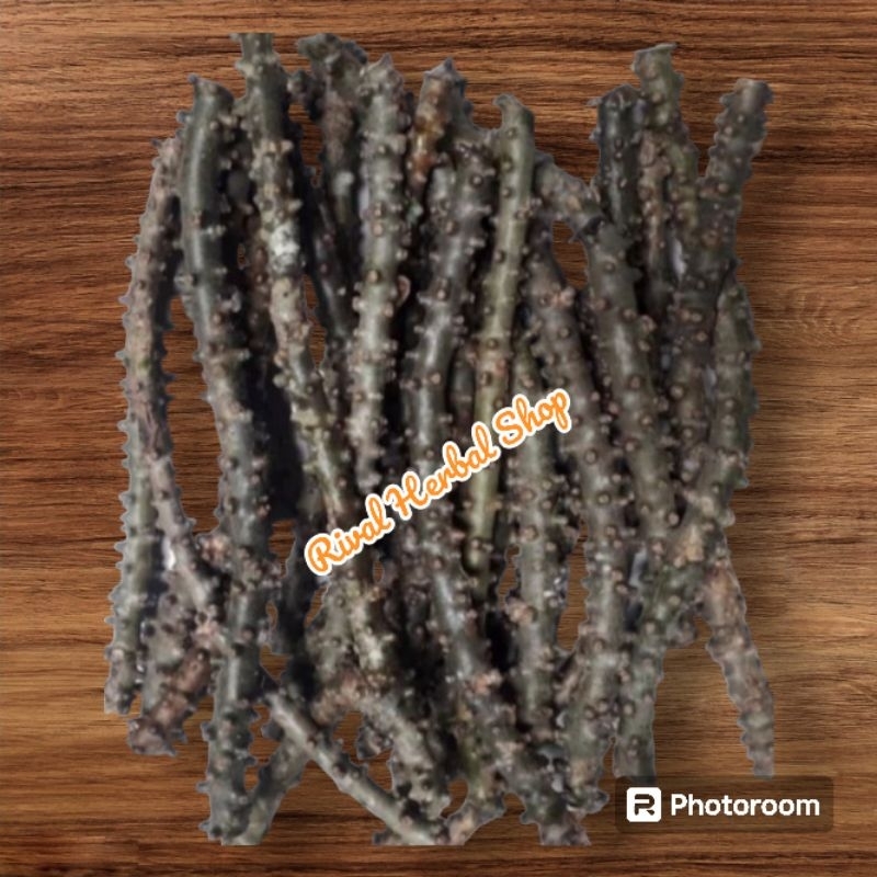 

Akar Ali - Ali / Brantawali / Tinospora Crispa Brontowali Segar Termurah1 Kg