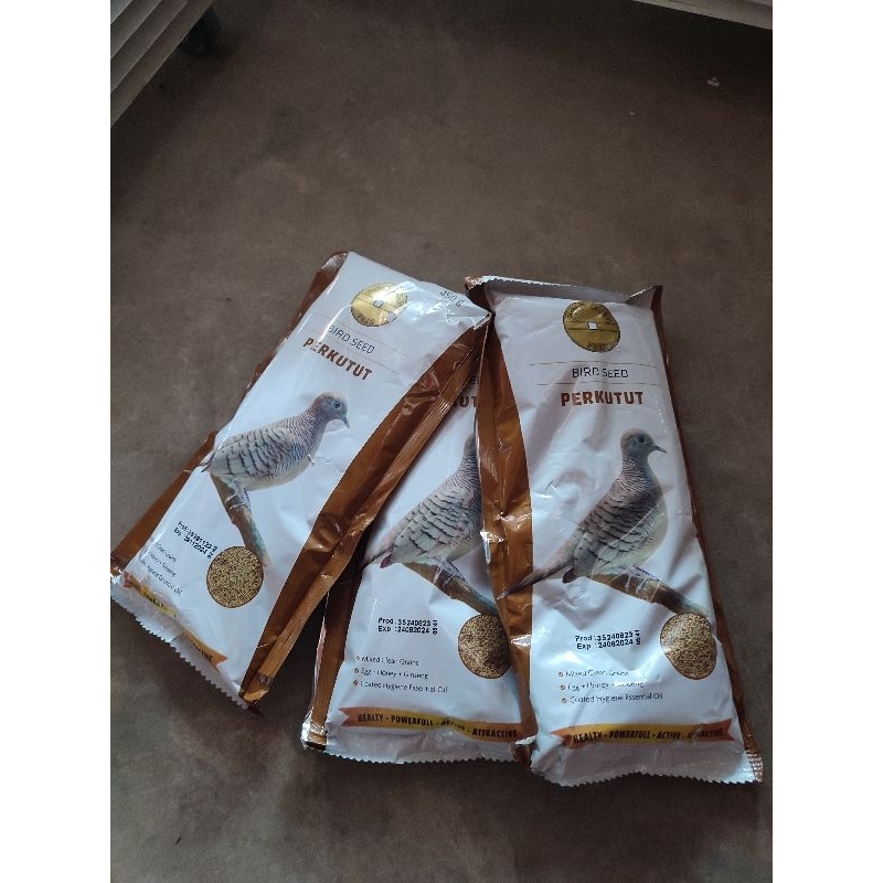 Gold Coin perkutut