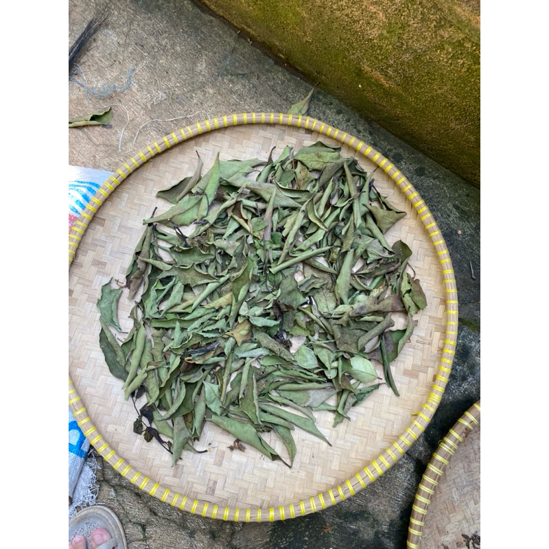 

DAUN BENALU KERING DUKU 170 gram