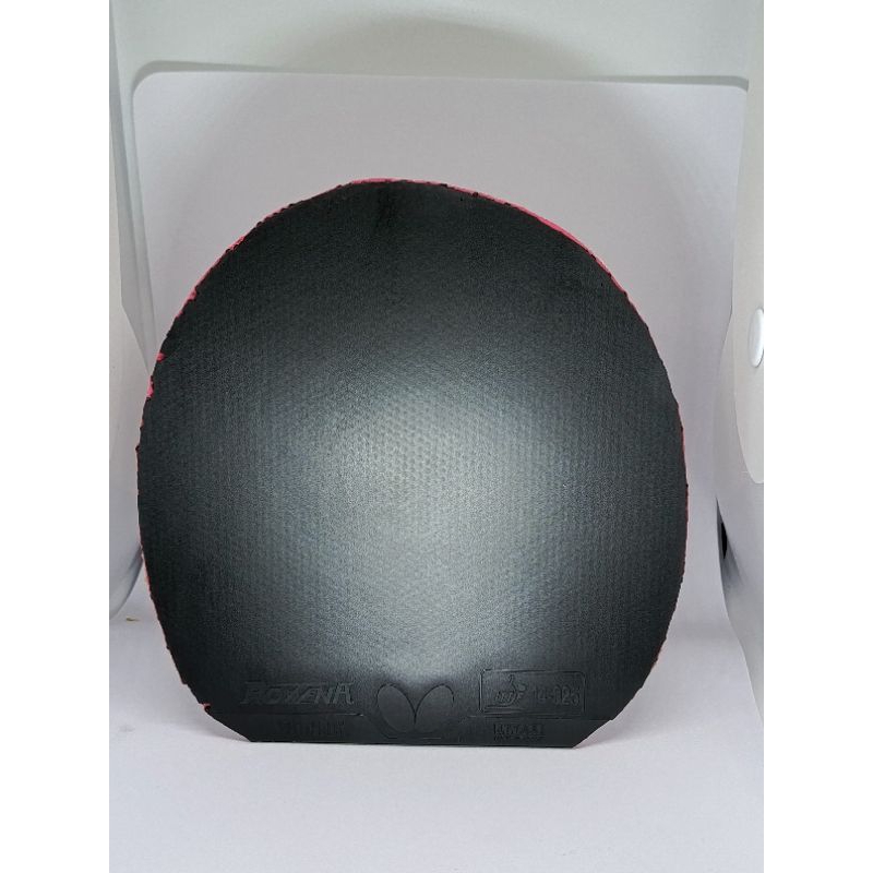 butterfly Rozena hitam