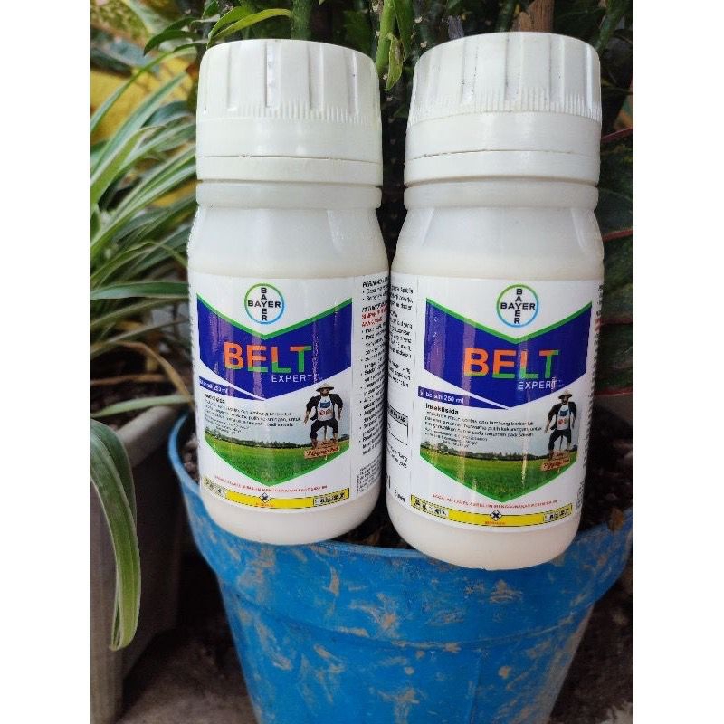 insektisida BELT EXPERT 480 SC 250 ML