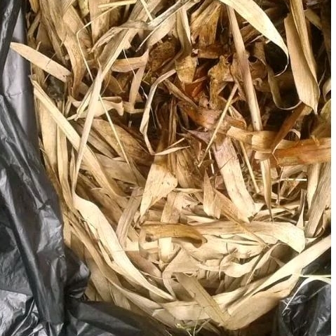 

daun bambu kering 500gram media tanam siap pakai