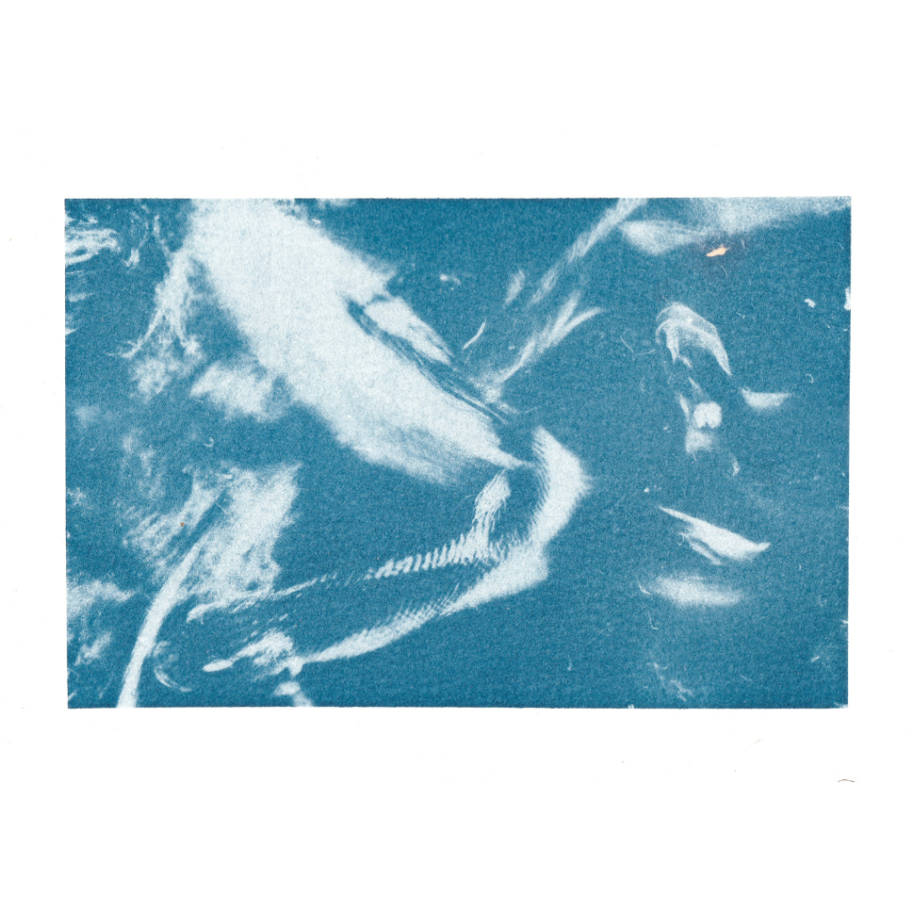 

Cyanotype Greeting Cards / Postcards 7-12