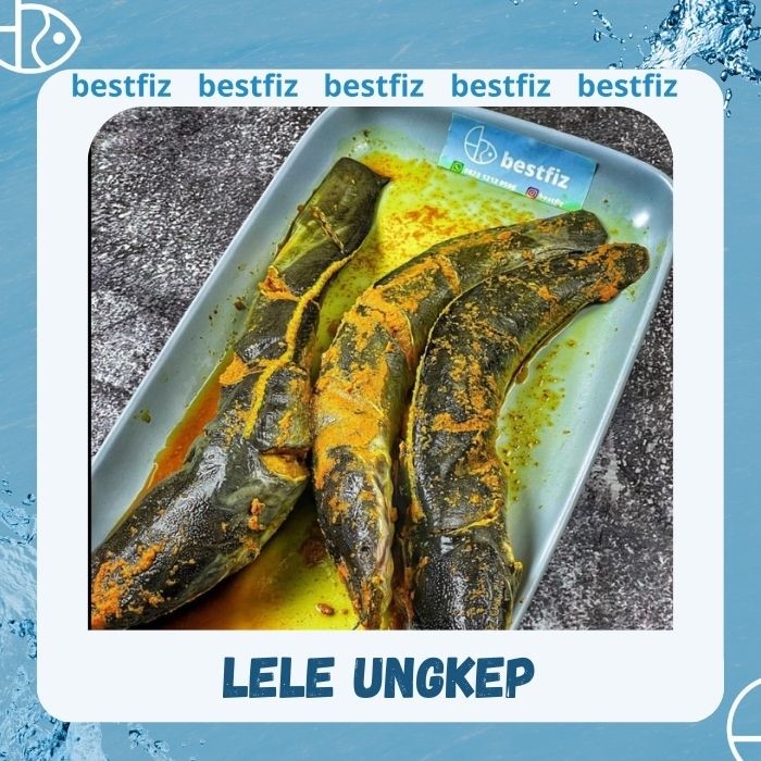 

Lele Ungkep
