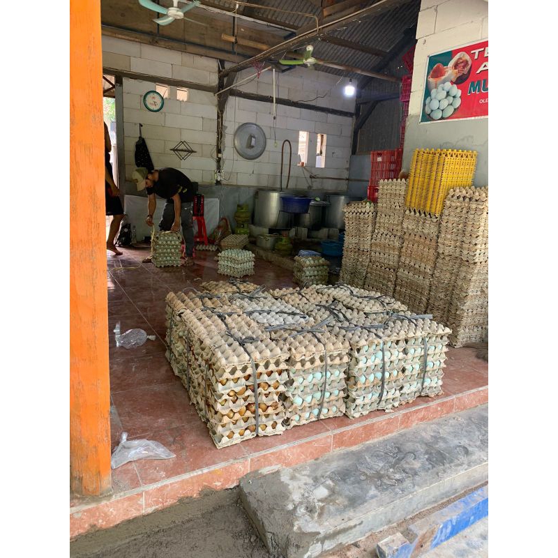 

TELOR ASIN KOMBINASI