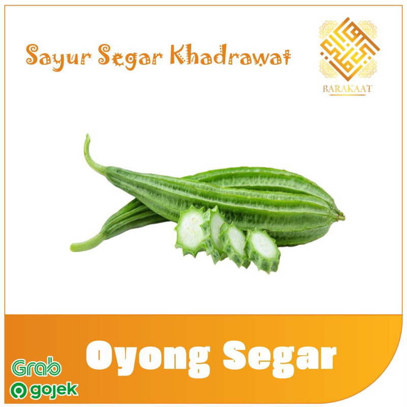 

Oyong Segar 500 Gram