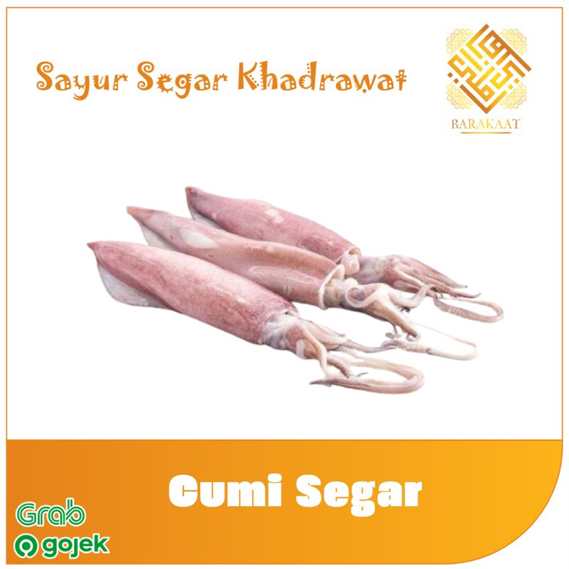 

Cumi Segar Pilihan 500 Gram