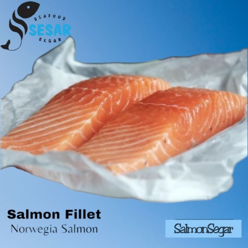 

Salmon Trout Norwegia - Ikan Salmon Fillet Grade A