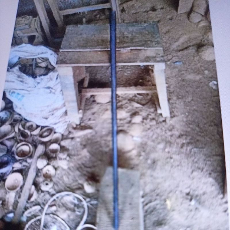 tongkat kayu aren hitam