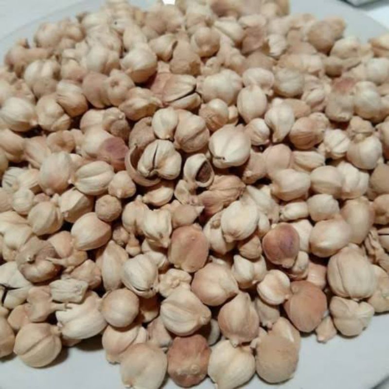 

kapulaga kering 100gr