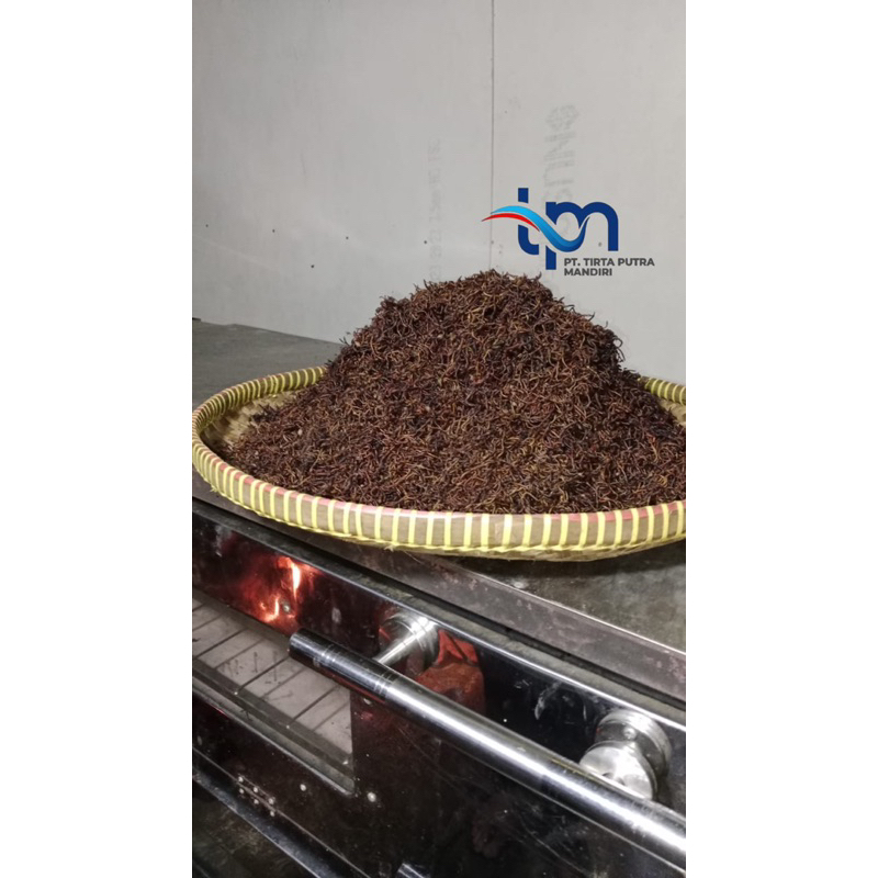 CACING KERING TEPUNG CACING LUMBRICUS RUBELLUS/ CACING BAHAN BAKU OBAT