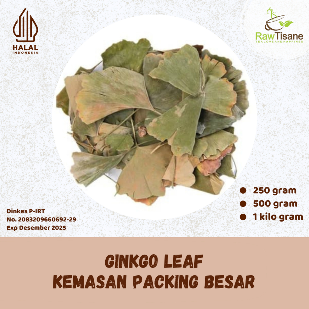 

RAW TISANE Ginkgo Leaf Tea / Premium Dried Ginkgo Leaf Tea / Teh Daun Ginkgo Biloba Premium Isi 1 Kg