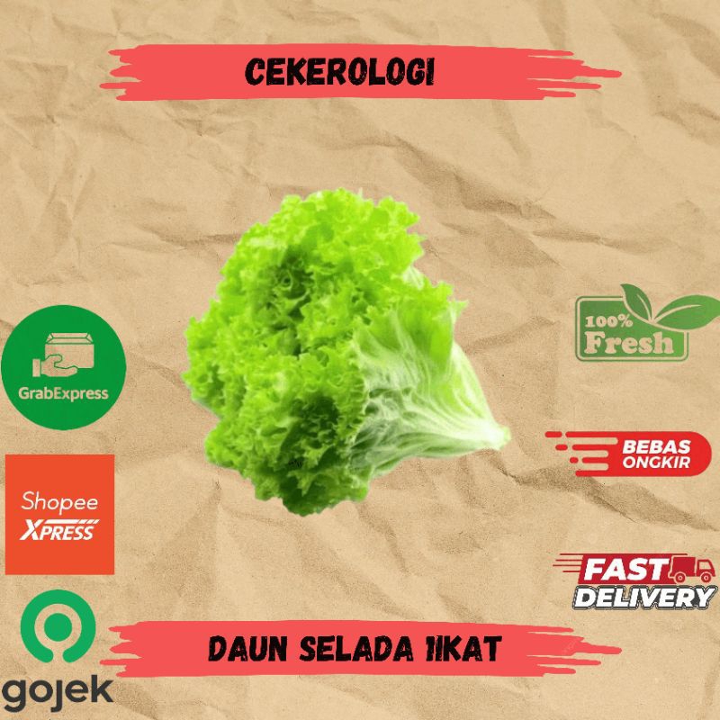 

Daun Selada 1ikat / Daun Selada / Slada / Daun Selada Fresh Berkualitas / JABODETABEK / Selada / Sayur Segar / Sayuran / Sayur