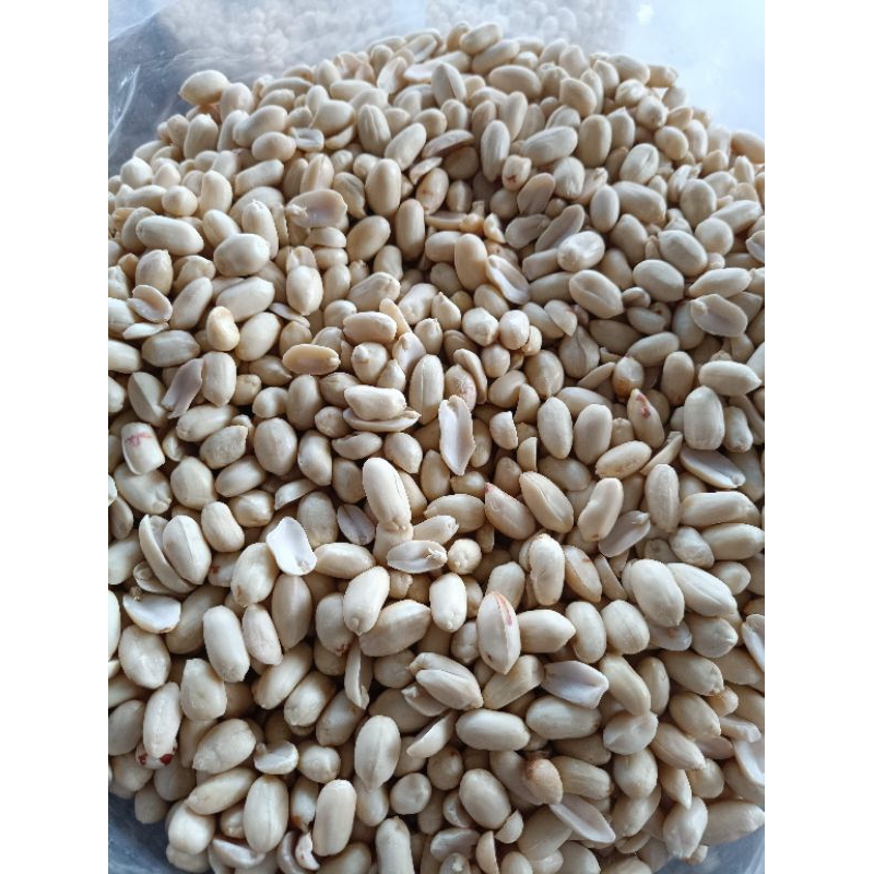 

kacang kupas besar kiloan mentah