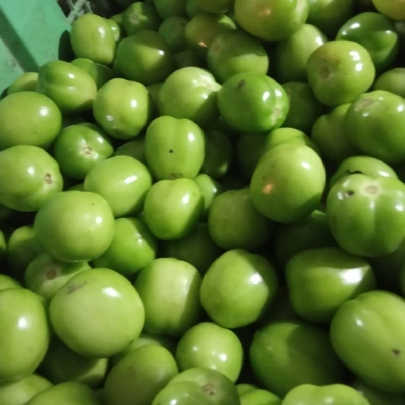 

tomat ijo/sayur 250grm