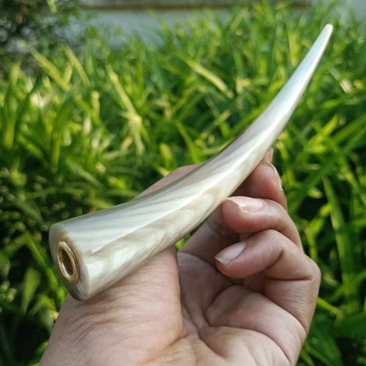 Once Pipa Tanduk Kerbau Bule Super