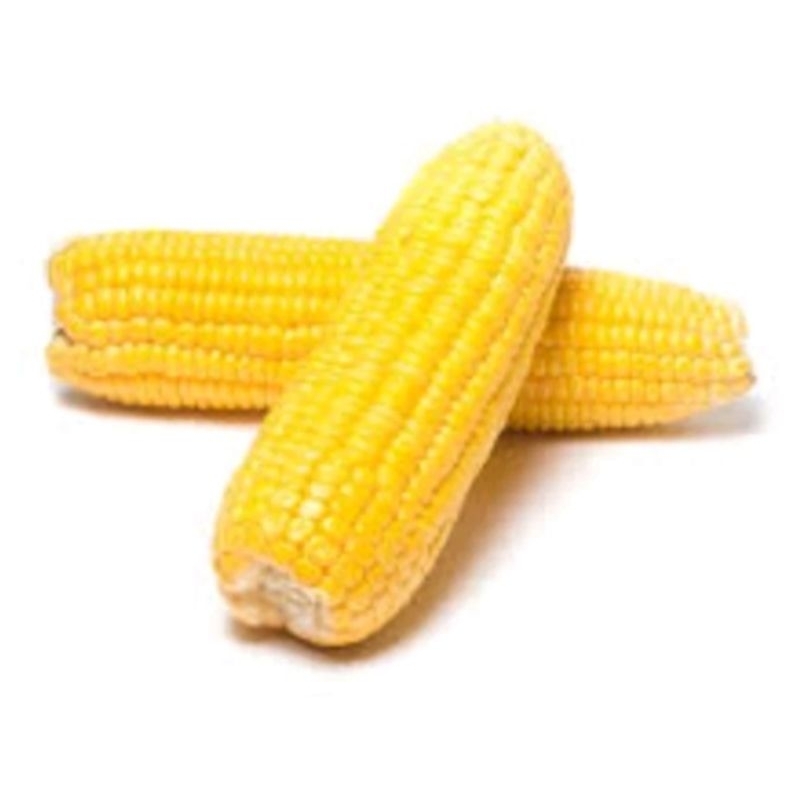 

Jagung manis kupas isi 2pcs