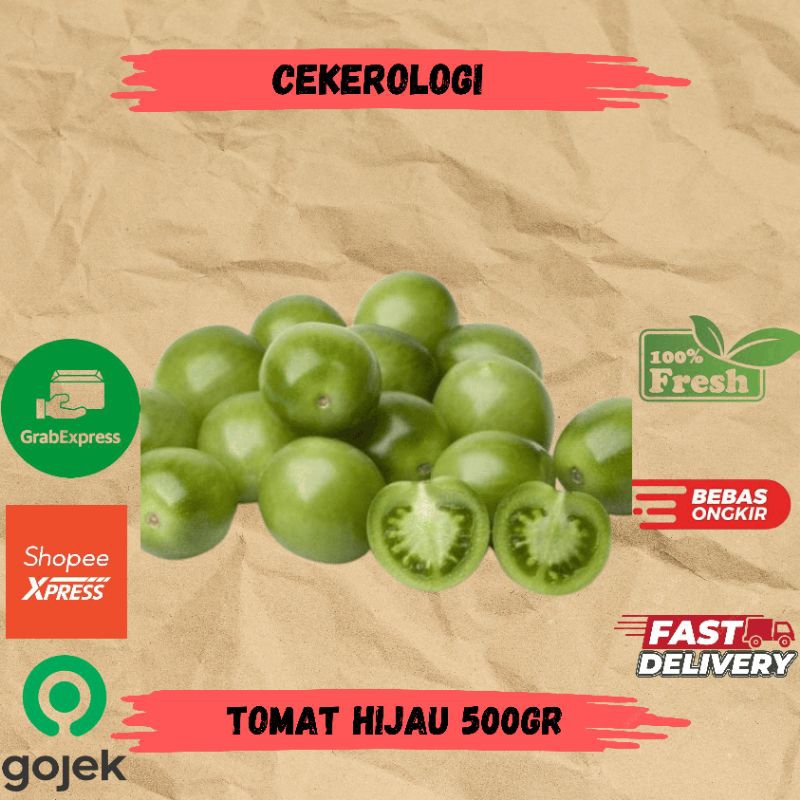 

Tomat Hijau 500gr / Tomat Hijau / Tomat / Tomat Hijau Fresh Berkualitas /JABODETABEK / Sayur Segar / Sayuran / Sayur