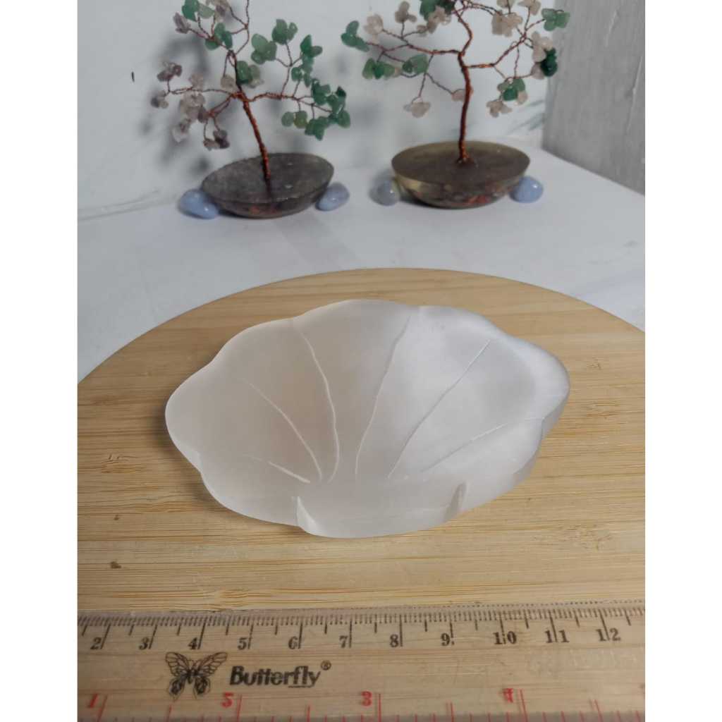 Natural Selenite Cat Eye Bowl Shell Carving High Quality (1)