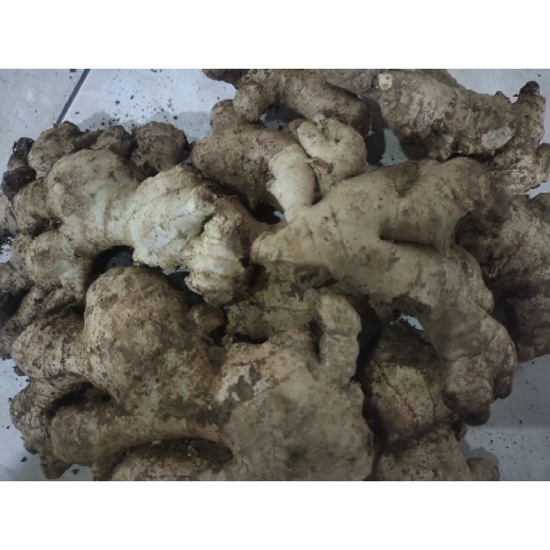 

JAHE 250 GRAM