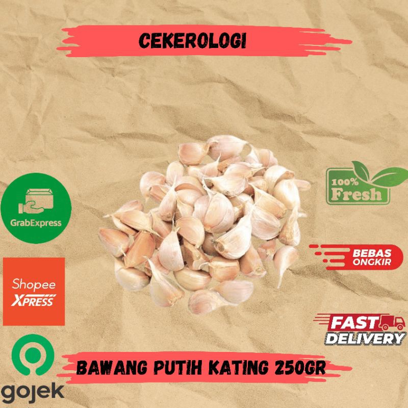 

Bawang Putih Kating 250gr / Bawang Putih Kating / Bawang Putih / Bawang Putih Fresh Berkualitas / Bawang / JABODETABEK / Sayur Segar / Sayuran / Sayur