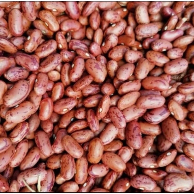

Kacang Merah Kupas Fresh