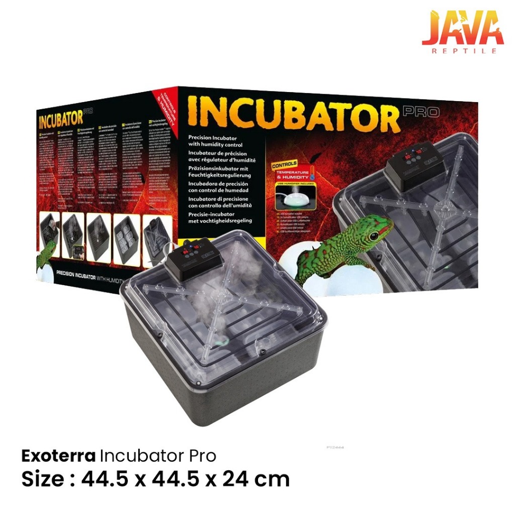 Exoterra Incubator Pro Inkubator Telur Reptil Gecko Kura Iguana Ular