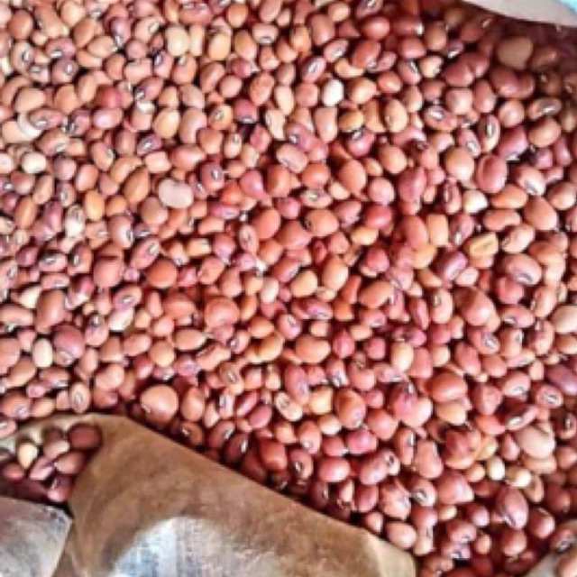 

Kacang Tolo/Tunggak 1 kg