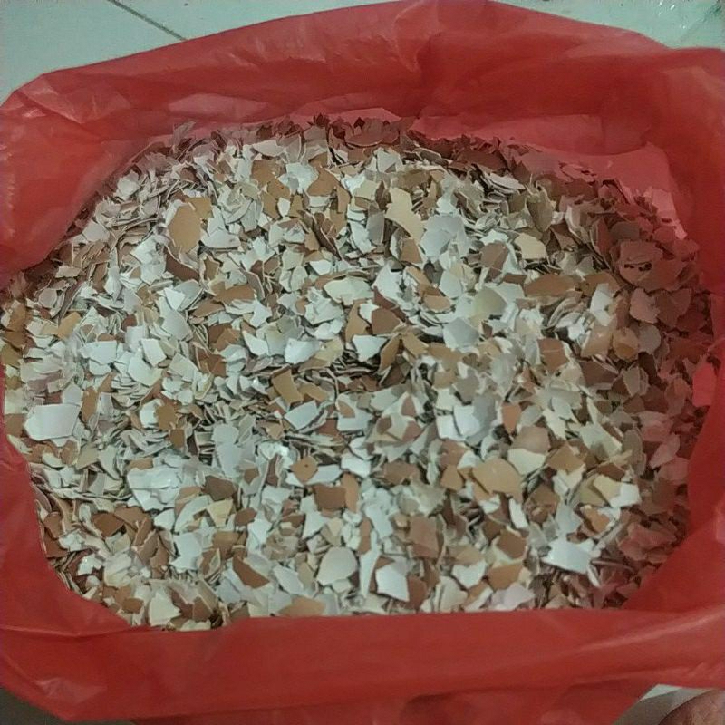 Cangkang Telur Asli 1kg