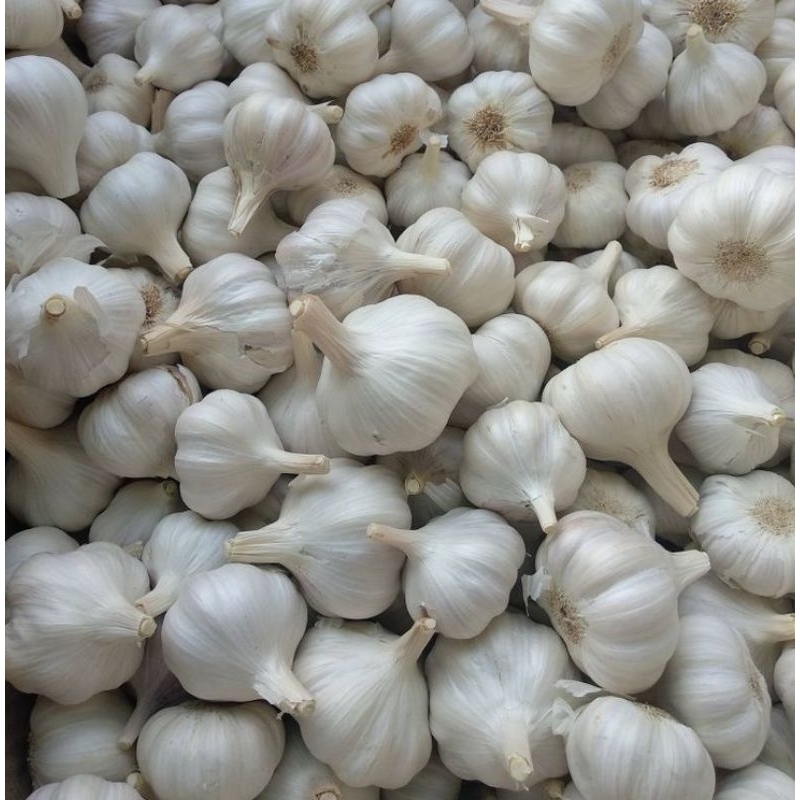 

Bawang Putih (250gram)