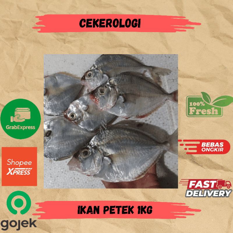 

Ikan Petek 1kg / Ikan Petek / Ikan Petek Fresh Berkualitas / JABODETABEK / ikan Segar / Ikan