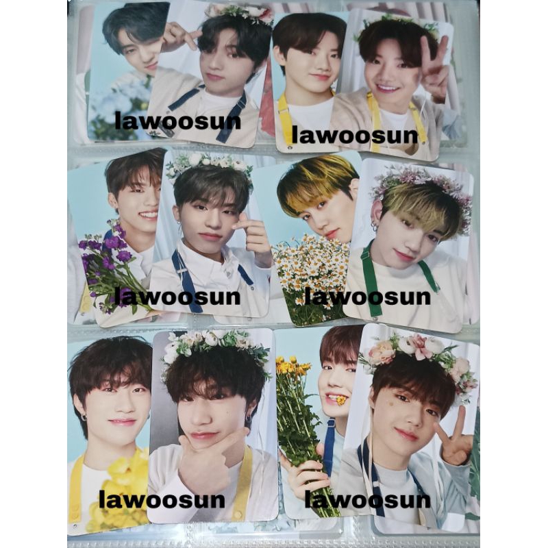 TINCASE BLOOMING TREASURE HARUTO JUNKYU JEONGWOO DOYOUNG YEDAM MASHIHO
